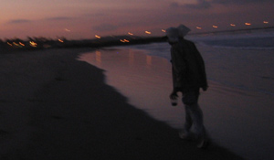 searching for Sand Bucks on Venice Beach
